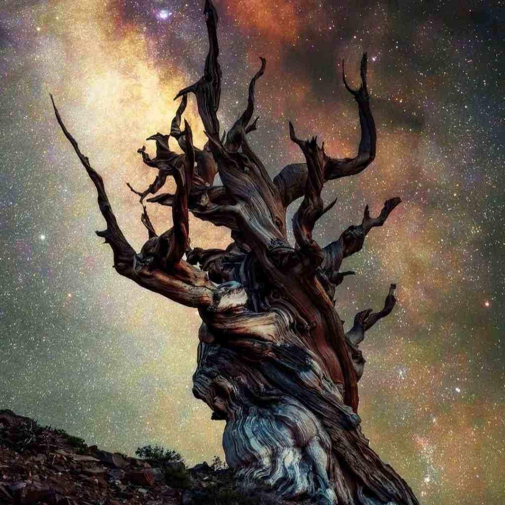 دانلود آهنگ لحظه ی دیدار برا تو